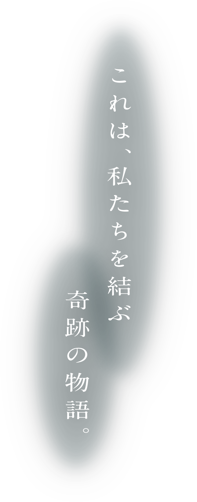 これは、私たちを結ぶ奇跡の物語
